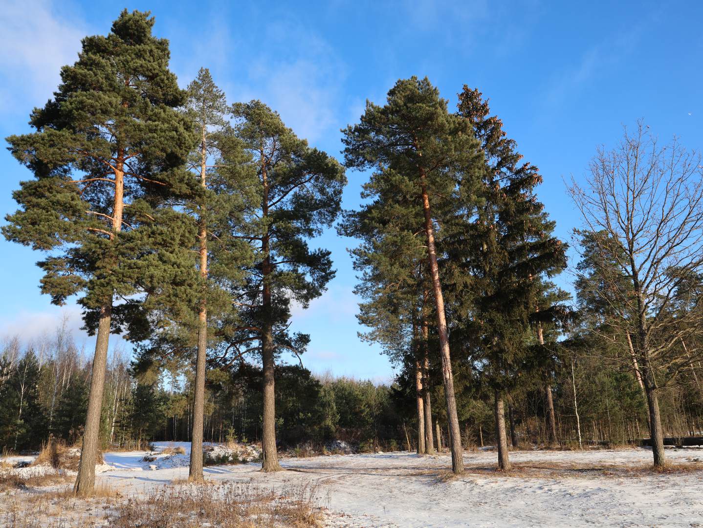 Райский уголок 5